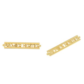 Metal Plate F (Gold)